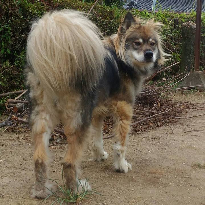 2e51b00d 78bd 4d2e bf13 995a3ed30693 1565763915616