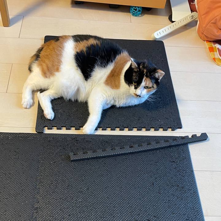 2e51bb86 c9b0 414a 82ba c3ad3c642781 1749030838449