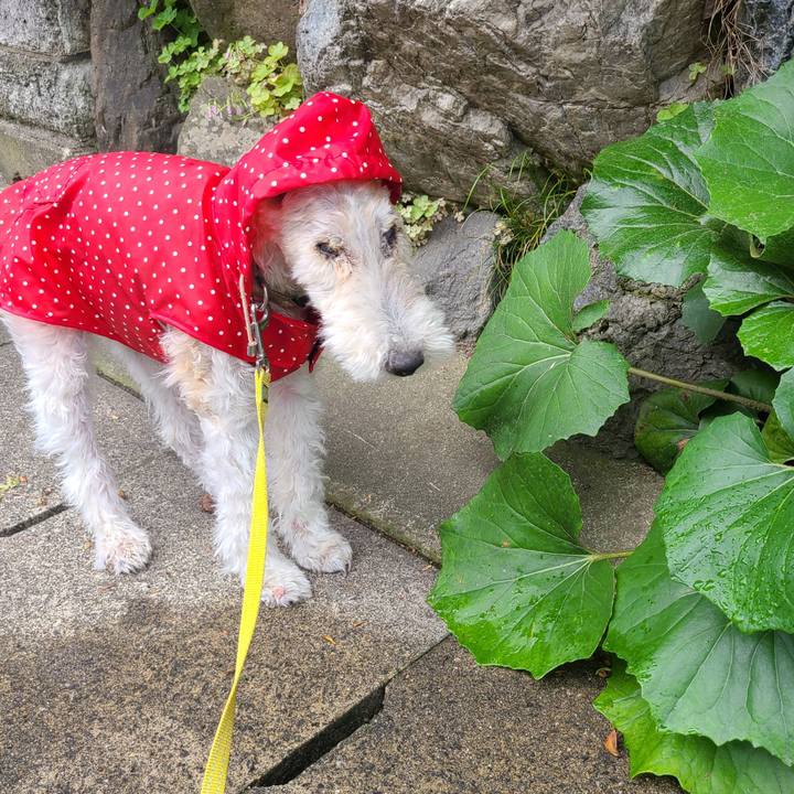 2e51cea1 b0ef 444f b19e 3359658fc7fb 1685504807845