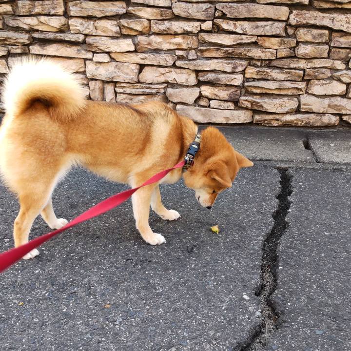 2e51ec8d 8f98 4af8 9c46 ea76f9faca95 1655937694326