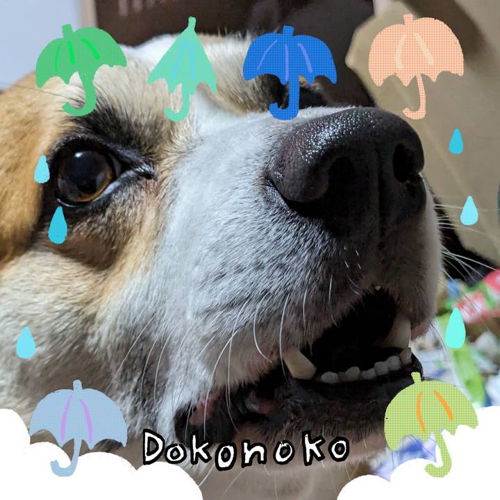 2e51ed6f e6fe 4bb1 bc49 757f8e480157 1718338159909