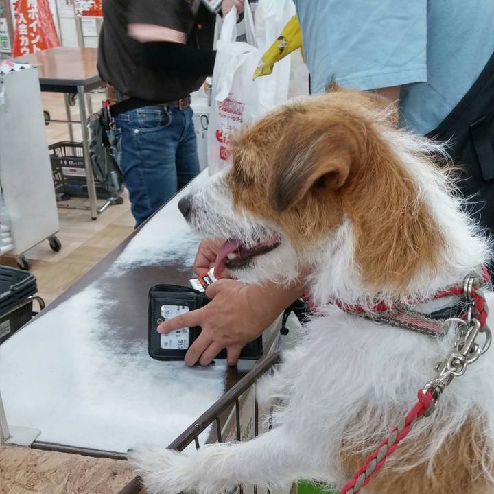 2e5211e6 cf6a 408c baaf f91d7f9e57a3 1536989939179