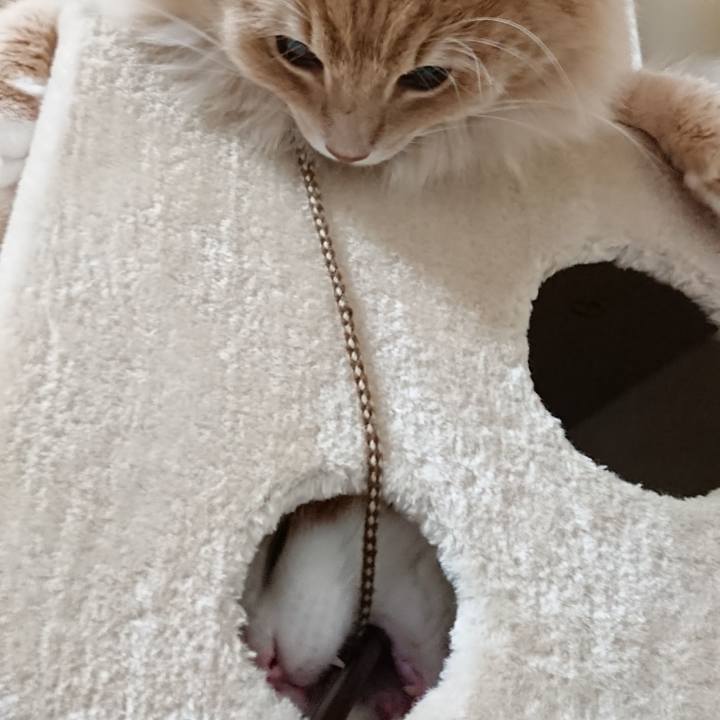 2e5225f4 488e 44e2 9b23 db107374353b 1517359077551