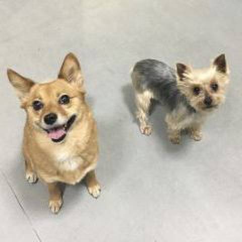 2e524b41 9d9c 4aef 8ecf 0c8f77176117 1555085980043