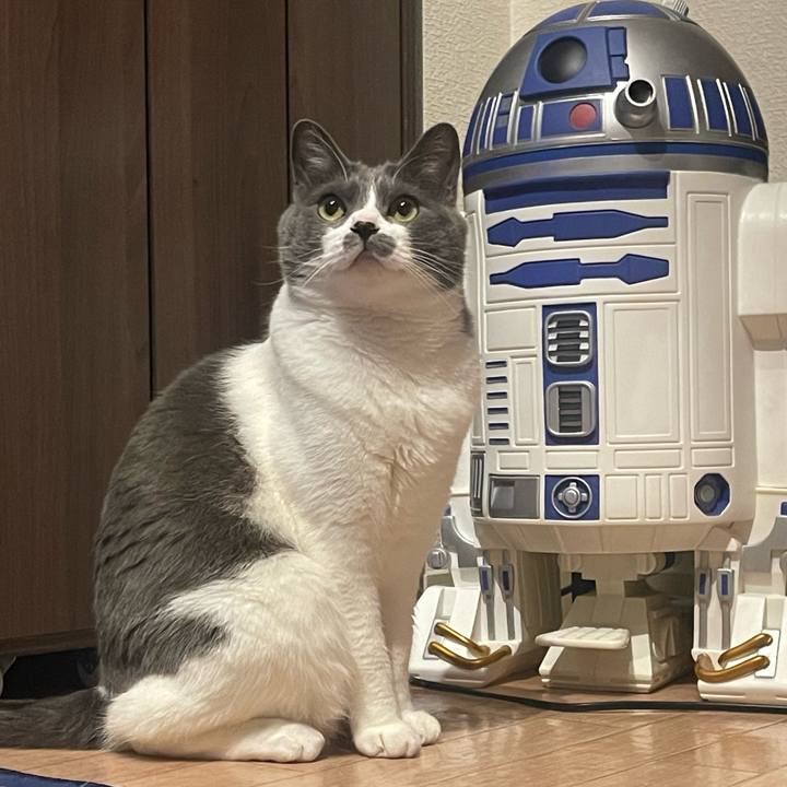 2e525e76 dff6 4bcb adad df39cbbd7e1a 1683115970755