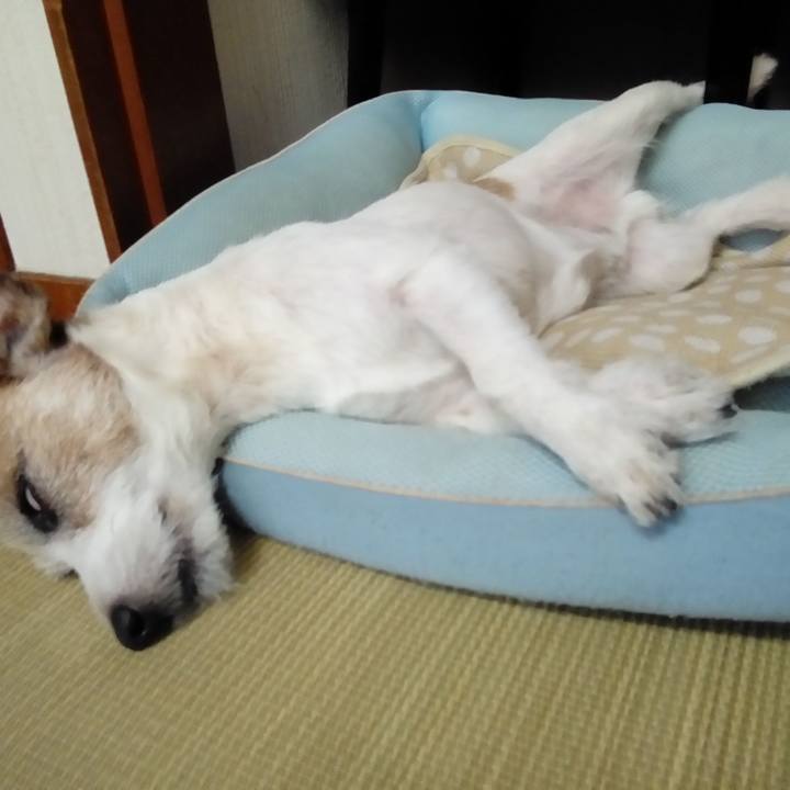 2e528752 d8be 424e a252 5253781a993a 1534914091985