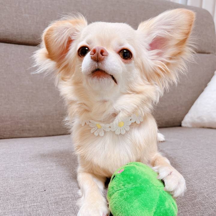 2e52b286 3d7f 400c b5ed ede2dab5dbdc 1655381221723