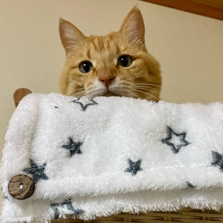 2e52bf2d 7410 4a56 8b06 ed1adc455714 1647600504996