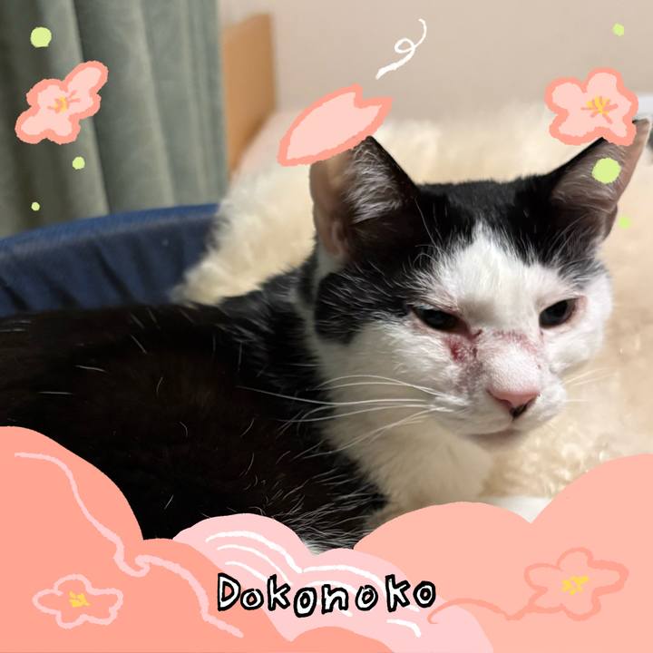 2e52cbb5 abb2 4e58 9ae3 ed8c9868ec7f 1775306174432