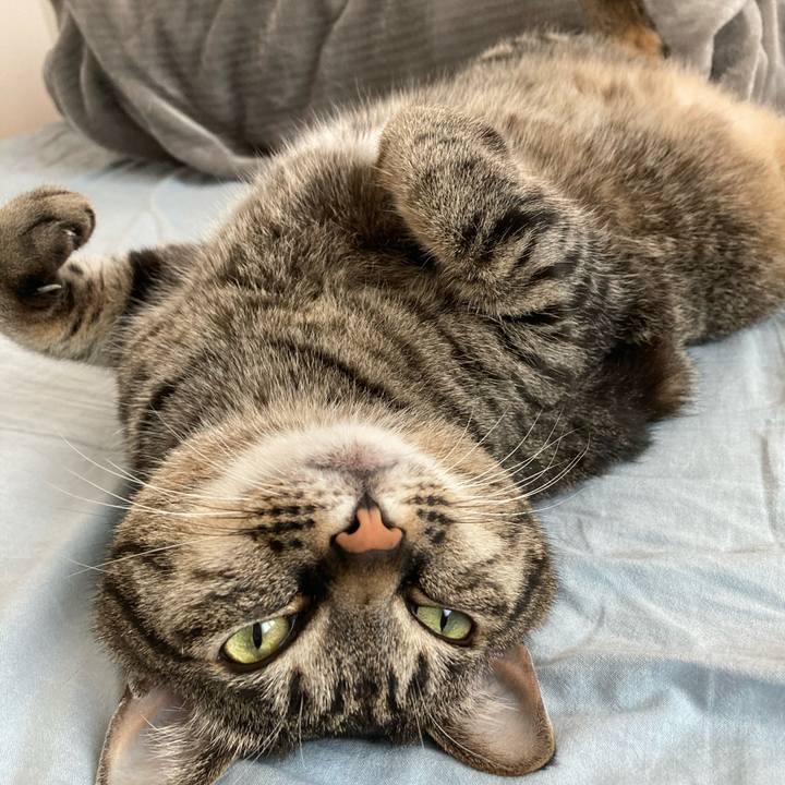 2e5305c7 c1ba 4b78 afa7 5d5b9f97aa9d 1619838638407