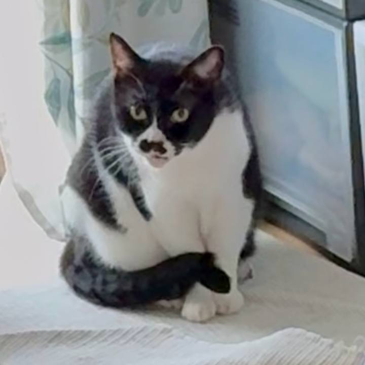 2e533672 044c 405e 83b7 96b91660c5ca 1761005290646