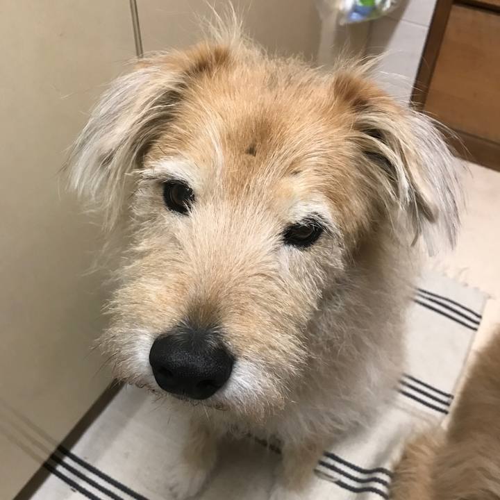 2e53524d 9d27 474d a8b5 d3958abb0f5c 1554881075218