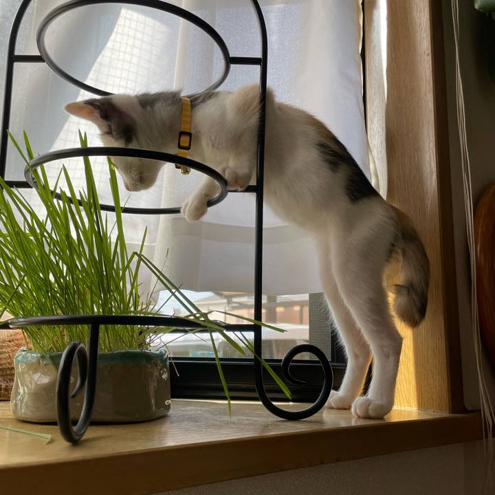 2e535695 2428 41b9 944a 32b567648f52 1658616963880