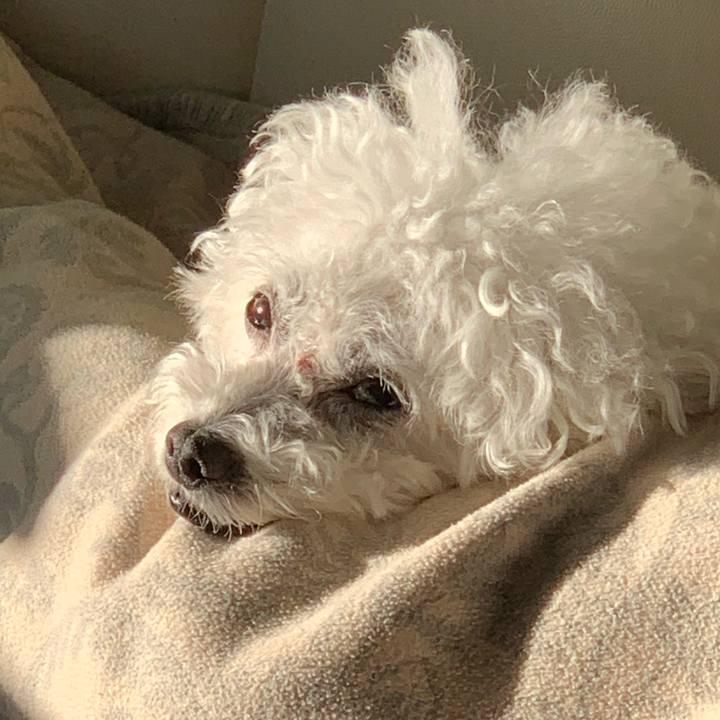 2e53817f b5df 43f3 85a1 225beb98e660 1702130961060