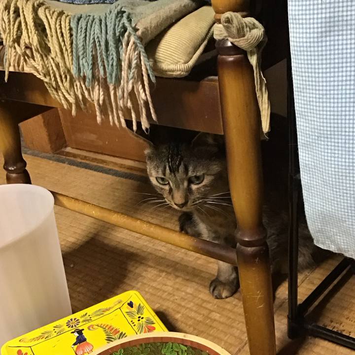 2e53b8f9 6c35 48bb 96c5 2fffb978c4d9 1746788754621