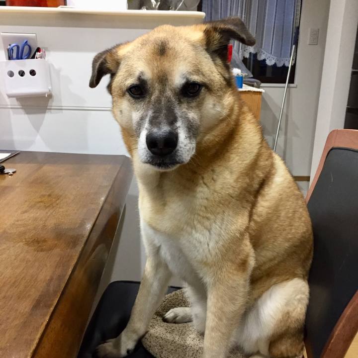 2e543945 b235 4703 b827 8f8f50fd9752 1524046496366