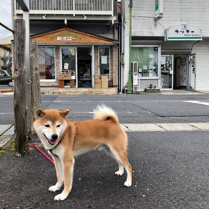 2e54684e a3b1 42b1 9703 246258abee78 1562322239053