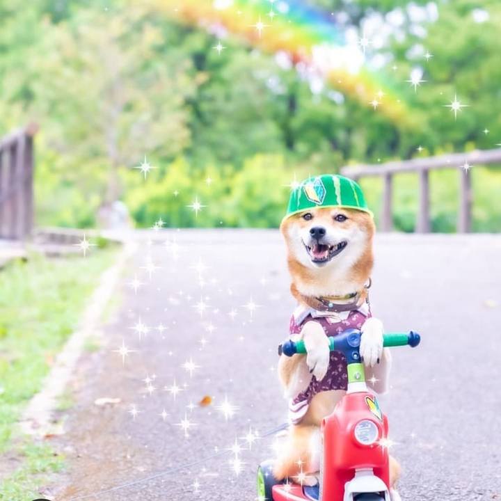 2e54a38d fa4e 4063 b15f 115fc5ffaca5 1601826086699