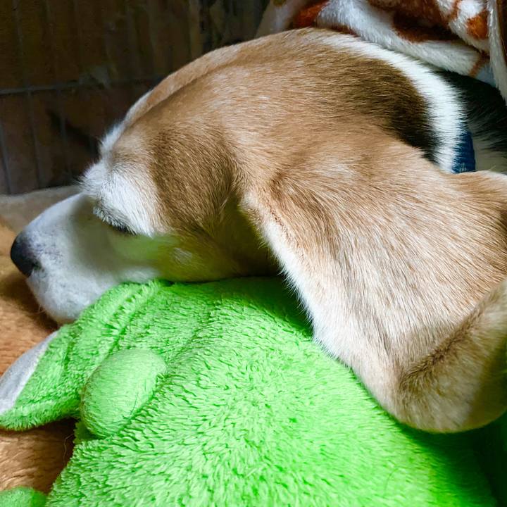 2e550a3f af3a 43e0 99bb 6dbf7259f3ca 1580096570022