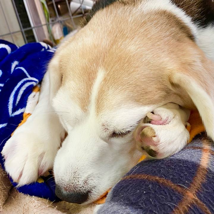 2e552602 8cf0 4476 a512 a9a49b3b080a 1619926485673