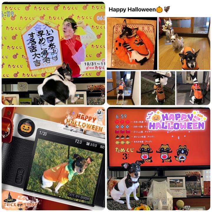 2e5591e3 cb9c 4d42 990c 555418976754 1667170776558