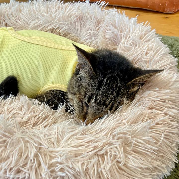 2e55aa01 4b2f 4003 bb4d f4ed1b64bd1c 1685414982247