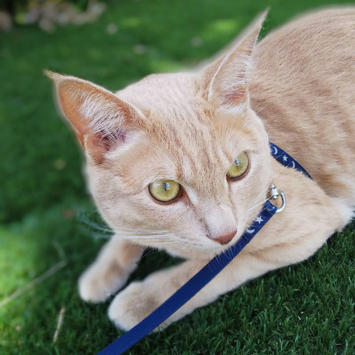 2e55aa16 192c 4423 8895 2575328e8fa2 1567228203919