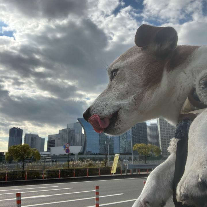 2e55c01a 5ebb 4584 b1c4 5d4328b232dd 1765321928339