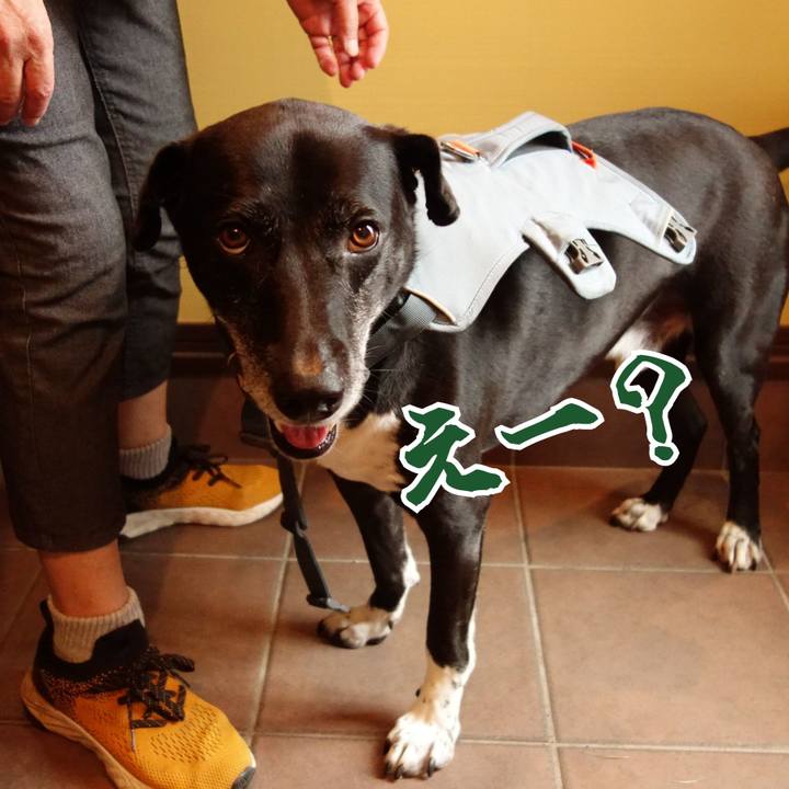 2e55d32e 242e 4c86 9391 abaf79e652e9 1723938662816