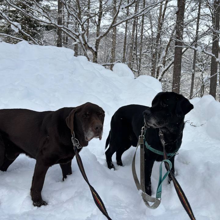 2e5615c0 dc0f 4815 9654 b5875786c4b3 1770036268534