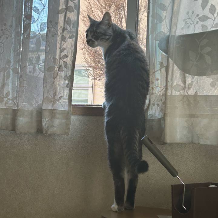 2e561724 5606 4030 a66a 5b2e8afcf9a1 1767707060372