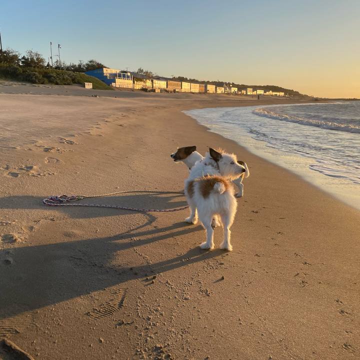 2e5648fb 02c2 44a8 bd1b 488736949ee8 1760517076520