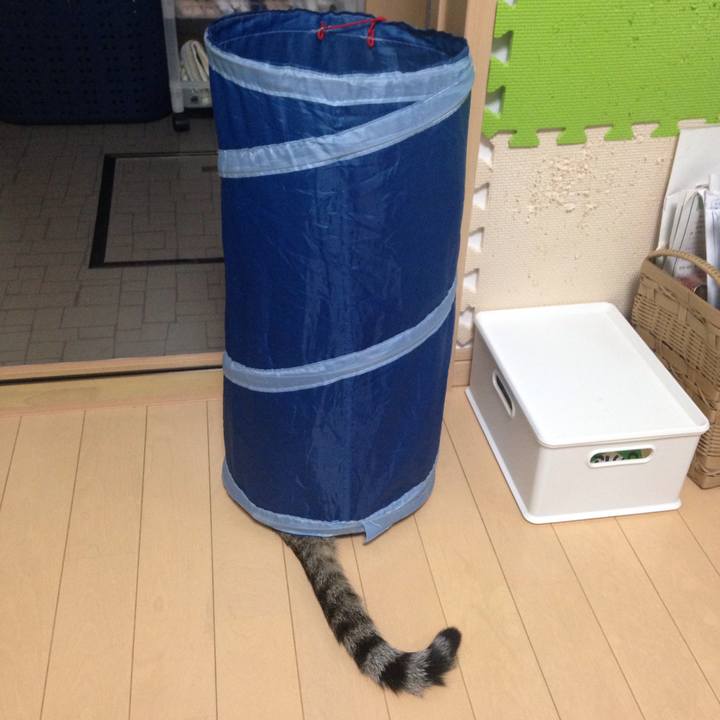 2e56a421 b872 455e ab51 47a443bd8f71 1507992179233