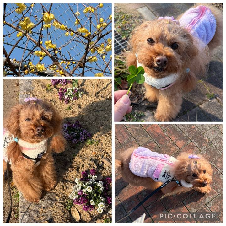 2e56b771 6d93 41ef a171 5e636f59e172 1771462031413