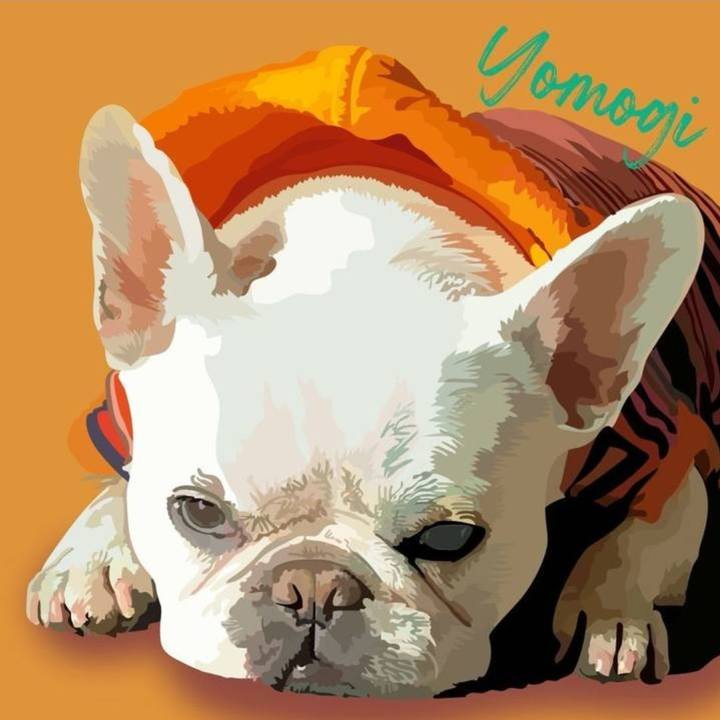 2e56cf48 9a12 4039 a5de a336e1b30168 1643343163529