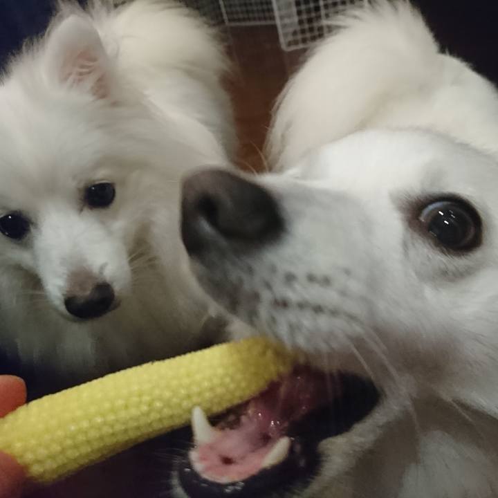 2e56d53a d173 4eb4 8da0 b96efaebd61a 1591530786271