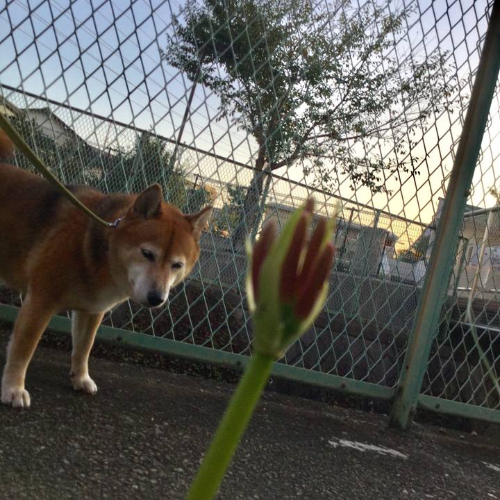 2e572d0c 2e06 47e0 9b10 4462438287d9 1600678152694