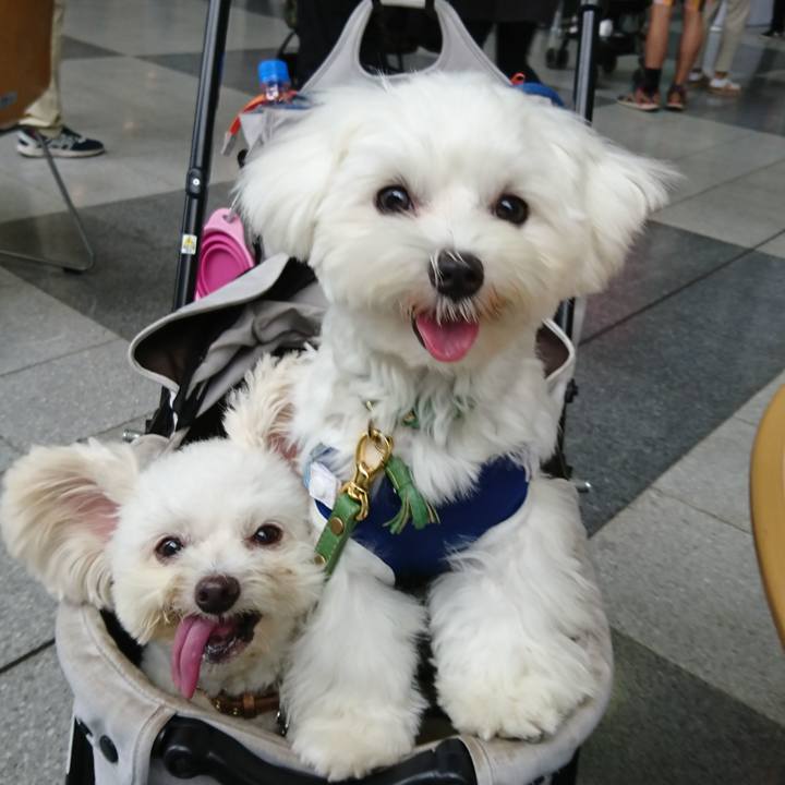 2e572f58 3a4b 46cb 80fa 76b54a6a738a 1600698317425