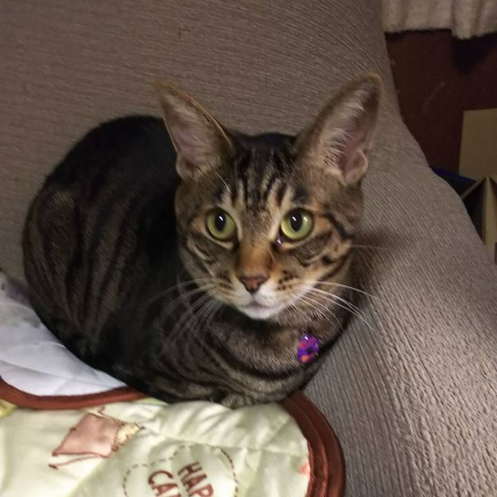 2e58073c 6a2c 431b 9313 0f7eb2882f35 1634298215603