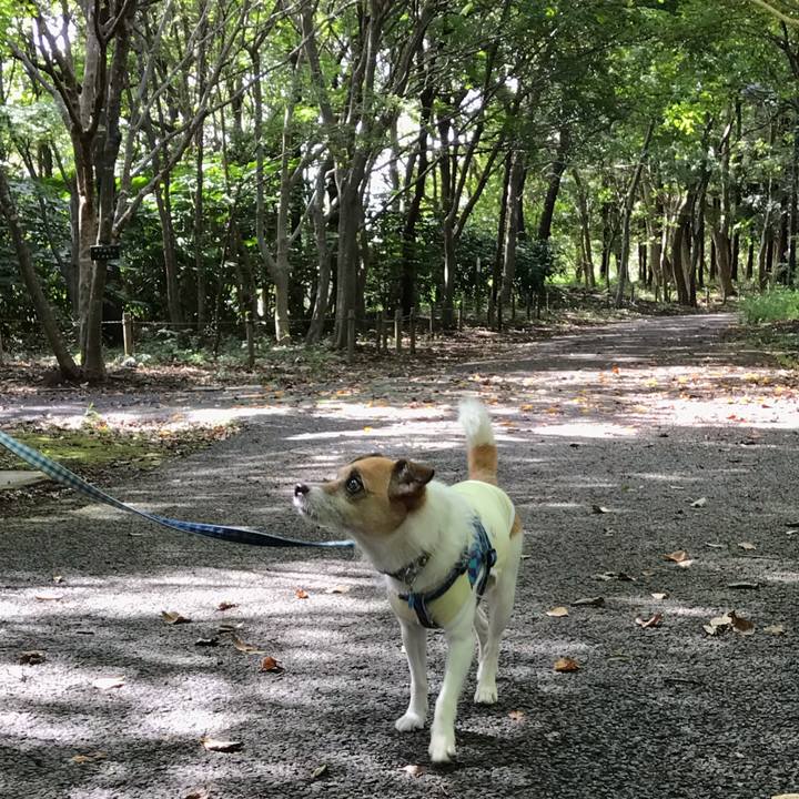 2e5811dd d3b4 45c1 a0f9 a8f9398d7d49 1537681038574