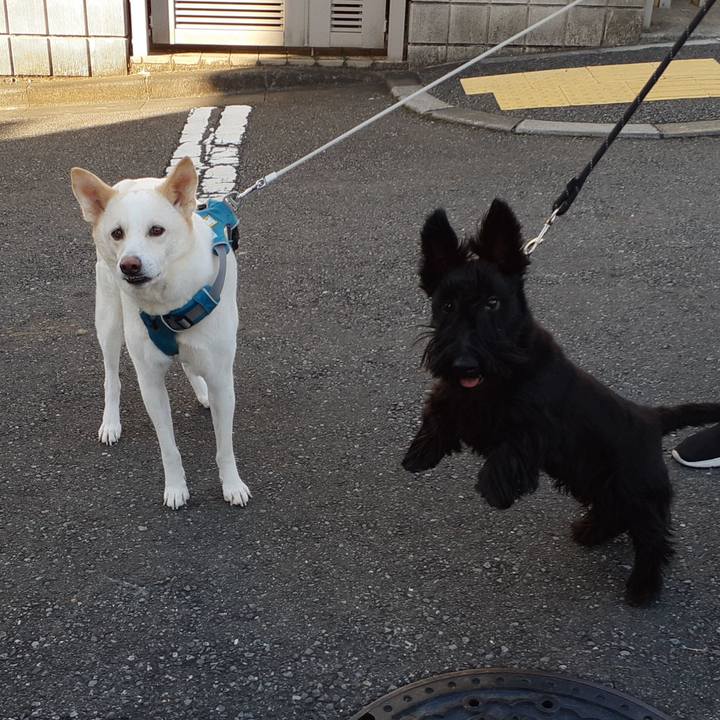 2e5834e5 a8eb 491a b622 d98313fd4c24 1670117574000