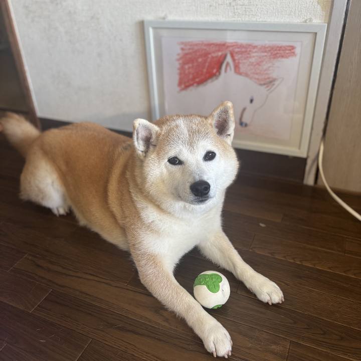 2e58c92a bb9a 40e9 a6fc 496c1beb8e31 1751146225900