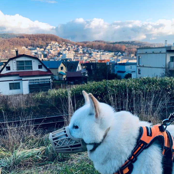 2e591330 3db1 4415 8171 166d6ff2a3f9 1669337675206