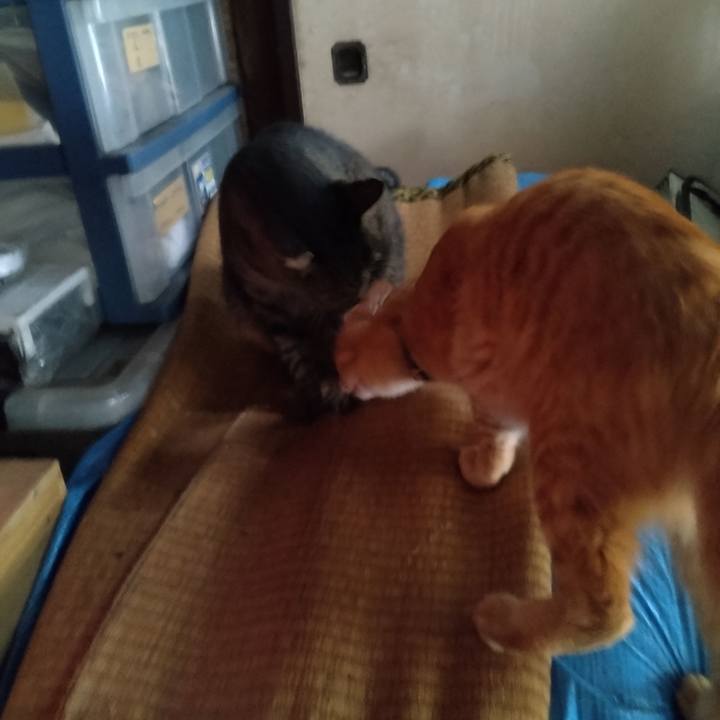 2e593a4f 2139 4927 a63c 5d7fd3318745 1664956275265