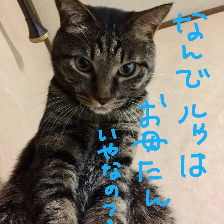 2e598e39 d6d8 4406 8fea a29b250ea2f8 1511005729349