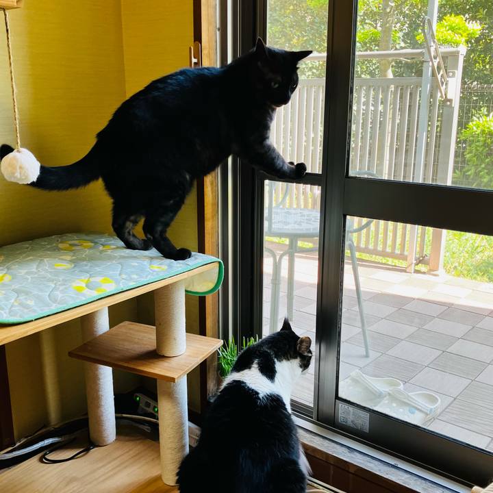 2e59e3af e107 4df2 a667 740d616e0e74 1745799007274