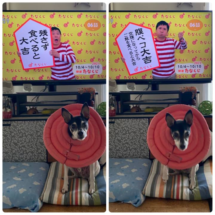 2e5a0527 01c9 484a 8d2d 5361ce5a8296 1633299528381