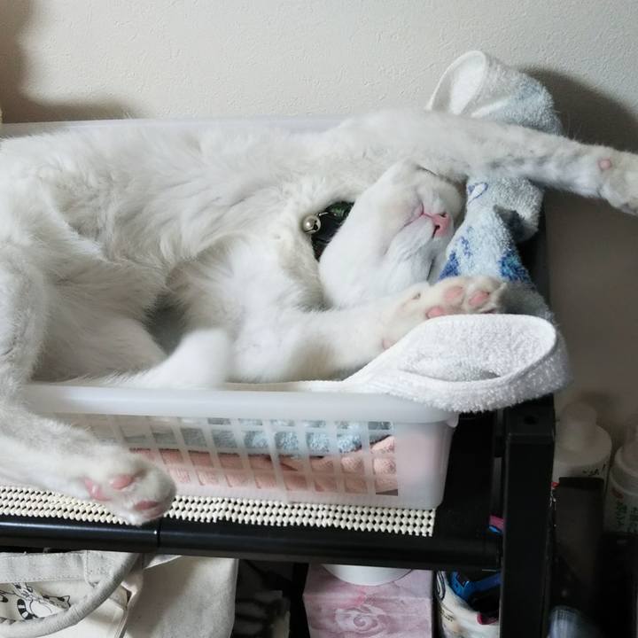 2e5a0ef6 5c93 46a0 95dc 7837ab9afcf6 1644195330692