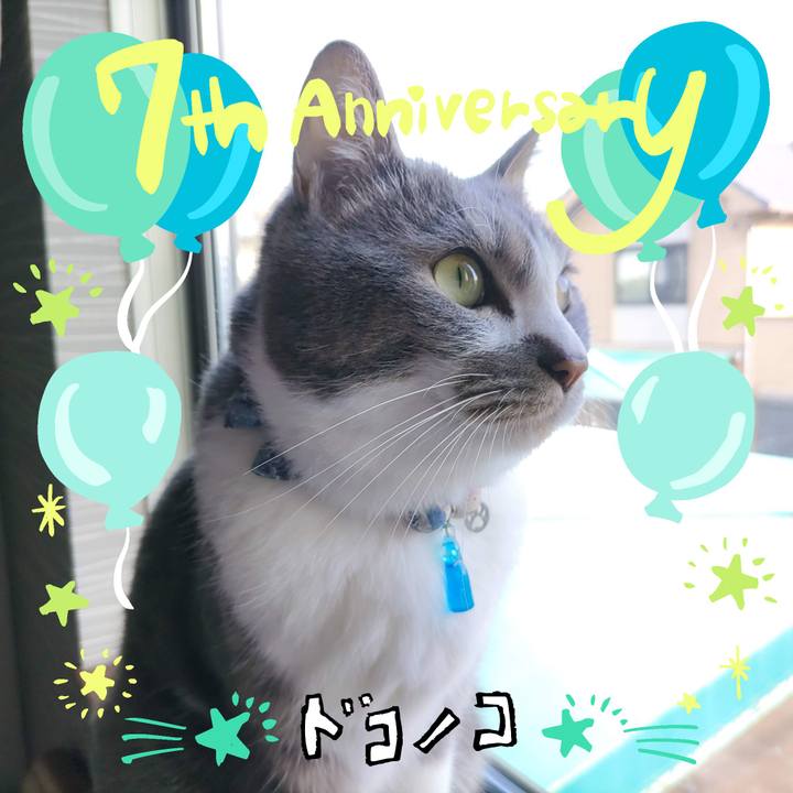 2e5a226f b0f9 455c a0f1 20f3b8d9ac04 1685933833786