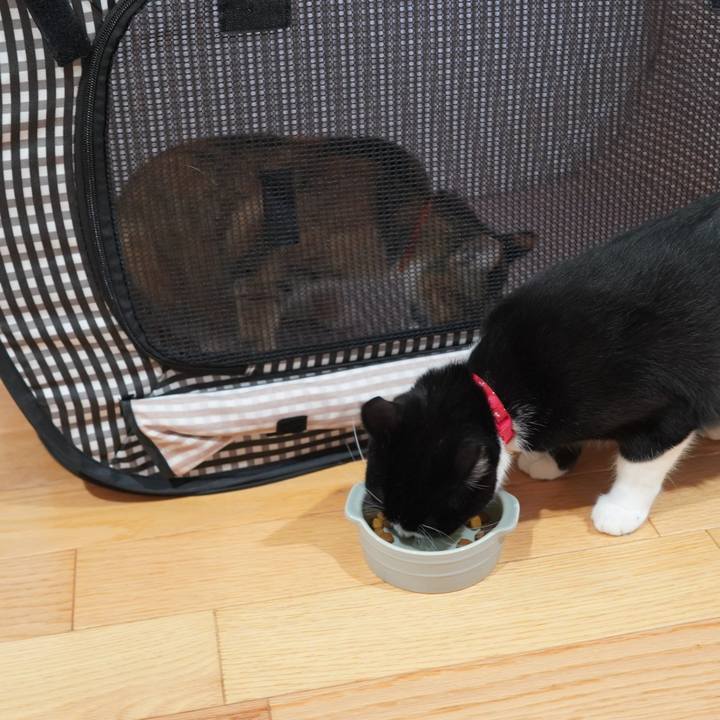 2e5a2405 334a 46ed be1b 94ca08388525 1593582561789